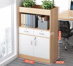 Tủ Cây Văn Phòng Trang Trí 2 Ngăn Kéo - TLKZ33