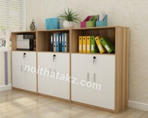 Tủ Tài Liệu Thấp Hiện Đại- TL 09