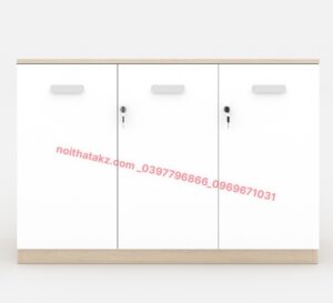 Tủ tài liệu classic CL80-04T