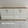 Tủ tài liệu thấp 4 cánh – THSKZ27