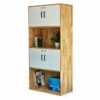 Tủ hồ sơ 2 hộc tủ 80x40x170cm gỗ cao su THS68050