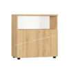 Tủ tài liệu gỗ TG02-0808