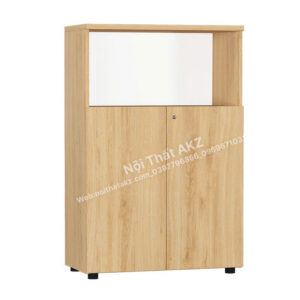 Tủ tài liệu gỗ TG02-0812