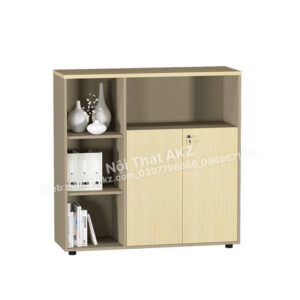 Tủ tài liệu gỗ TG10-1212