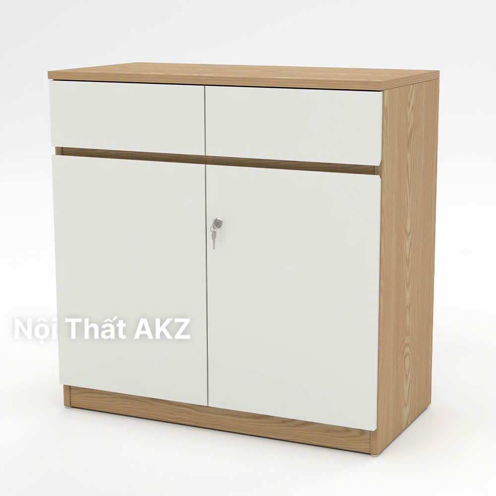 Tủ Hồ Sơ Thấp THSTY55-1