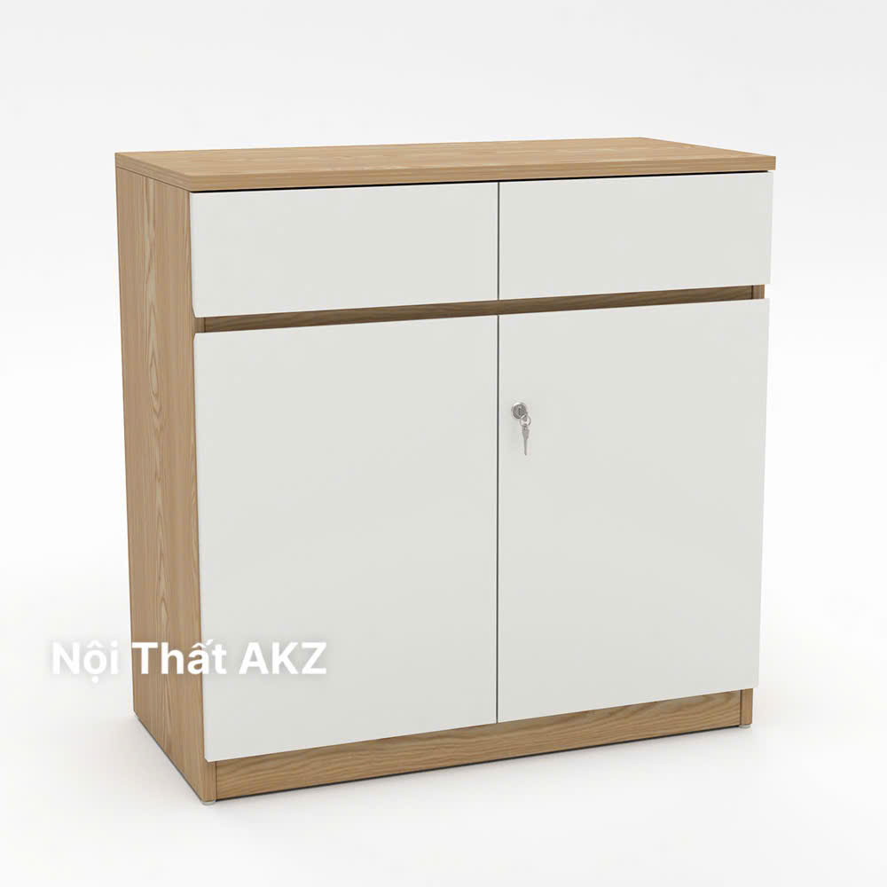 Tủ Hồ Sơ Thấp THSTY55